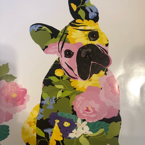 Meet your Posher, Stev - Picture 1 of 1